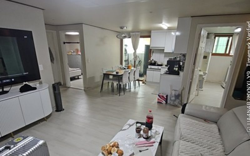 사고 현장 사진